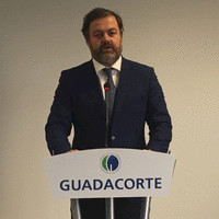 Juan Pedro Toro de Estrada