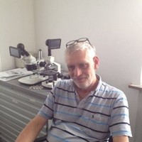 Thomas Hove