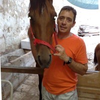 Ray Spiteri