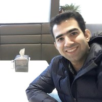 Hamed Mozafarishamsi, EIT