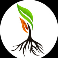 Editor IMoT Agri Forum