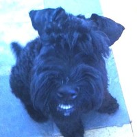 Wilson Brian