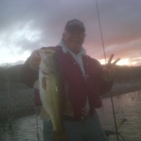 Jeff Nelson