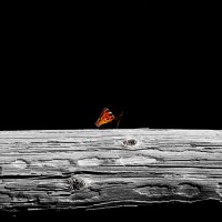 Lucas Lambrechts