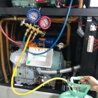 jose noe Bocanegra Vargas