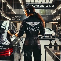 Expert Auto detailing