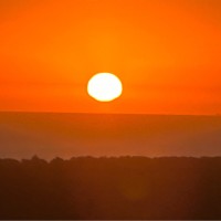 Rodolfo (Rudi) Henrique Fischer