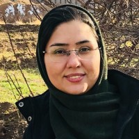 marzieh ebrahimi