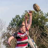 Scott Pearce
