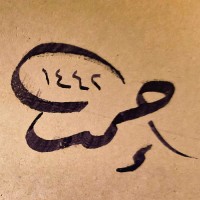أحمد المدهون