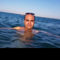 Shady Gamal