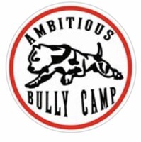 Ambitious Bully’S