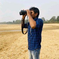 Md Shamshad Ansari