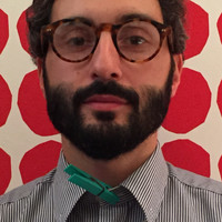 Stefano Vandelli