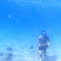 Jason Van Den Bogaert