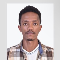 Bereket Tesfaye