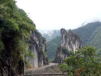 夏高飞