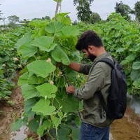Apoorv Mishra