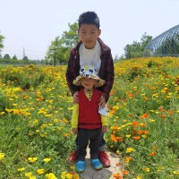 Owen Cui