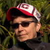 Wilma Weichselbaum
