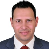 Wael Abdelgawad,Pmp®