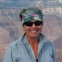 CARYL CLEMENT