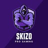 Skizo Pro Gaming