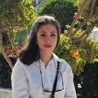 Sepideh Farajzadeh