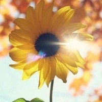 ~ May~