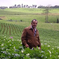 Henry Arce Viquez