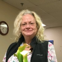Elizabeth Carter