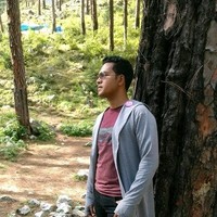 Ajit Kullu