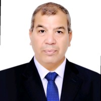 Mohamed Ibrahim