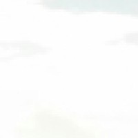 임상은