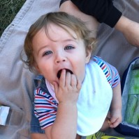 Amelia Stedman