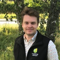 Mårten Borell