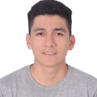 Oscar Fabricio Bayona Quijandria