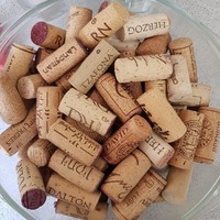 Leah (Jaroslawicz) Fischman