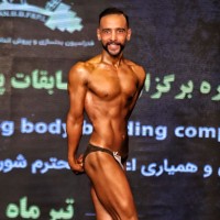 Seyed Mohamad Hasan Seyed Alikhani