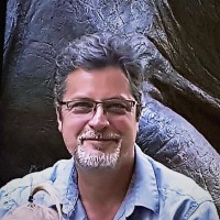 Paul Wood