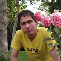 mohammad ali ghaderi