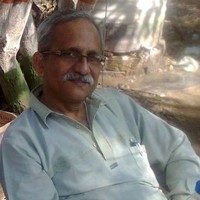 Prabir Kumar Ray