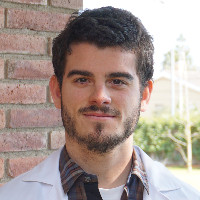 Albert Perlas Puente