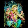 Amay Nevrekar