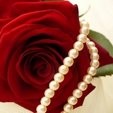 Sudha M