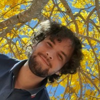 Joao pedro Marques