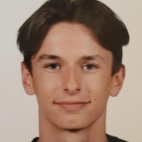 Emile Verheyen