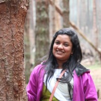 Akhila S P