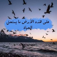 Areeg Mohammed