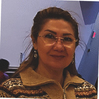 Hengameh Faghihi